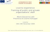 Livorno experience Training of public and private organizations staff Maria Giovanna Lotti Provincia di Livorno Sviluppo Livorno 18th-19th November 2009.