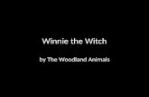 Winnie the Witch by The Woodland Animals. At first, Winnie was happy because she was reading her book. There were no problems. I am happy.