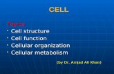 CELL Topics Cell structure Cell structure Cell function Cell function Cellular organization Cellular organization Cellular metabolism Cellular metabolism