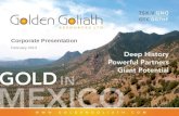 Corporate Presentation February 2013. 2 Overview Golden Goliath Resources (TSX Venture – GNG.V) Focused on exploration and development of 8,400 hectare.
