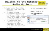Welcome to the Webinar: Audio Options To hear audio from this webinar, you have two options: 1.To dial in via telephone, click use telephone then dial.