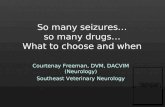 So many seizures… so many drugs… What to choose and when Courtenay Freeman, DVM, DACVIM (Neurology) Southeast Veterinary Neurology.