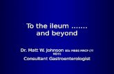 To the ileum ……. and beyond Dr. Matt W. Johnson BSc MBBS MRCP (??MD!!) Consultant Gastroenterologist.