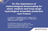 On the importance of meteorological downscaling for short, medium and long-range hydrological ensemble prediction over France G. Thirel (1), F. Regimbeau.