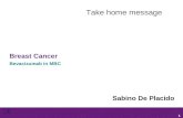 Bevacizumab in MBC 1 Breast Cancer Take home message Sabino De Placido.