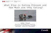 What Else is Eating Chinook and How Much are they Eating? John Ford Pacific Biological Station Fisheries and Oceans Canada Nanaimo, British Columbia.