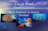 Coral Reef Destruction Nick Ganem & Grant Shobar.