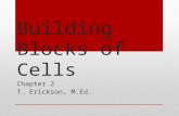 Building Blocks of Cells Chapter 2 T. Erickson, M.Ed