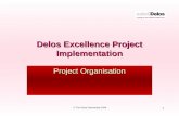 1 © The Delos Partnership 2004 Delos Excellence Project Implementation Project Organisation.