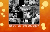 What is Sociology?. Sociology Is the study of human society and social interaction. Sociologists try to develop theories about the interrelationship between.