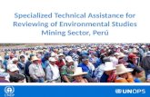 Specialized Technical Assistance for Reviewing of Environmental Studies Mining Sector, Perú