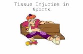 Tissue Injuries in Sports. Cell Tissue Cell: smallest structural unit of living matter capable of functioning independently Tissue: A collection of cells.