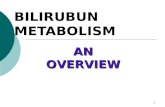 1 BILIRUBUN METABOLISM AN OVERVIEW. 2 FATE OF RED BLOOD CELLS Life span in blood stream is 60-120 days Senescent RBCs are phagocytosed and/or lysed Normally,