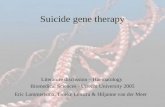 Suicide gene therapy Eric Lammertsma, Tineke Lenstra & Hiljanne van der Meer Literature discussion – Haematology Biomedical Sciences - Utrecht University.