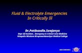 A&E(VINAYAKA) Fluid & Electrolyte Emergencies In Critically Ill Dr.Patibandla.Sowjanya Dept Of Accident, Emergency & Critical Care Medicine Vinayaka Missions.