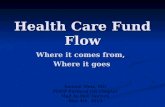 Health Care Fund Flow Where it comes from, Where it goes Samuel Metz, MD PNHP Portland OR Chapter Mad As Hell Doctors May 4th, 2010.