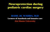 Neuroprotection during pediatric cardiac surgery RAMI.M. WAHBA, M.D Lecturer of Anesthesia and Intensive care Ain Shams University.