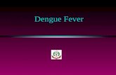 Dengue Fever. Alternative Names l Onyong- Nyang Fever l West Nile Fever l Break Bone Fever l Dengue like Disease.