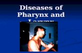Diseases of Pharynx and Larynx. Anatomy of Pharynx Fibromuscular Tube Fibromuscular Tube Base of Skull to C6 (12cm) Base of Skull to C6 (12cm) Divided.