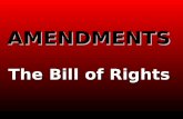 AMENDMENTS The Bill of Rights. THE BILL OF RIGHTS First 10 amendmentFirst 10 amendment Added to Constitution in 1791Added to Constitution in 1791.
