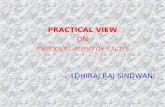 PRACTICAL VIEW ON INTERNAL AUDIT OF EXCISE - CA. DHIRAJ RAJ SINDWANI.