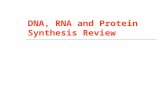 DNA, RNA and Protein Synthesis Review. 1. What does DNA stand for? Deoxyribonucleic Acid.