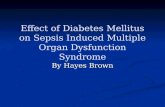 Effect of Diabetes Mellitus on Sepsis Induced Multiple Organ Dysfunction Syndrome By Hayes Brown.