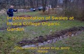 Implementation of Swales at Ithaca College Organic Garden Chris Gordon, Lauren Krug, Jenny Moore.