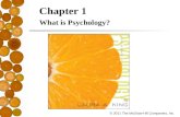 © 2011 The McGraw-Hill Companies, Inc. Chapter 1 What is Psychology?