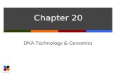 Chapter 20 DNA Technology & Genomics. Slide 2 of 25 Biotechnology Terms Biotechnology Process of manipulating organisms or their components to make useful.