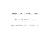 Integration and Control: THE ENDOCRINE SYSTEM Campbell & Reece Chapter 45 1.
