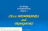 AS Biology. Foundation. Cell membranes and Transport1 AS Biology FOUNDATION Chapter 4 CELL MEMBRANES and TRANSPORT Visit