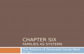 CHAPTER SIX FAMILIES AS SYSTEMS The Practice of Generalist Social Work (2 nd ed.)