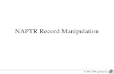 © 2002-2004 ag-projects.com NAPTR Record Manipulation.