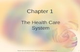 1Elsevier items and derived items © 2007 by Saunders, an imprint of Elsevier, Inc. Chapter 1 The Health Care System.