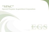 SPAC Special Purpose Acquisition Corporation. Ellenoff Grossman & Schole LLP Ellenoff Grossman & Schole LLP is a New York-based law firm with over 50.