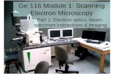 Ge 116 Module 1: Scanning Electron Microscopy Part 1: Electron optics, beam- specimen interactions & imaging.