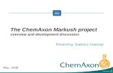 May, 2008 Presenting: Szabolcs Csepregi The ChemAxon Markush project overview and development discussion.