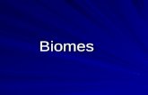 Biomes. Factors that determine biome distribution Climate –Temperature –Moisture –Wind –Ocean currents Geography – Latitude and altitude Soil type.