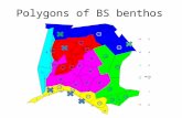 Polygons of BS benthos 8 16 58. Spec. Bio 50 Data background per polygon Polygon Area name Atlantis Poly New Poly nr Spatial loc Commu nitiesStations.