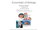Essentials of Biology Sylvia S. Mader Chapter 10 Lecture Outline Prepared by: Dr. Stephen Ebbs Southern Illinois University Carbondale Copyright © The.