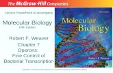 Molecular Biology Fifth Edition Chapter 7 Operons: Fine Control of Bacterial Transcription Lecture PowerPoint to accompany Robert F. Weaver Copyright ©