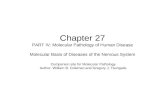 Chapter 27 PART IV: Molecular Pathology of Human Disease Molecular Basis of Diseases of the Nervous System Companion site for Molecular Pathology Author: