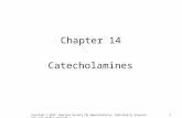 1 Chapter 14 Catecholamines Copyright © 2012, American Society for Neurochemistry. Published by Elsevier Inc. All rights reserved.