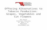 Offering Alternatives to Tobacco Production: Grapes, Vegetables and Cut Flowers Ben Beale Extension Educator St. Marys Co. Maryland bbeale@umd.edu.