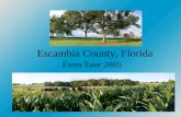 Escambia County, Florida Farm Tour 2005. Escambia County, Florida 661 square miles, or 420,480 acres, with an additional 64,000 acres of water area Population.