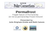 Permafrost Fragile Nature of Permanently (or not so permanently) Frozen Ground Presented by Julie Brigham-Grette and Beth Caissie Julie Brigham-Grette.