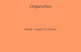 Organelles What I Need To Know. Prokaryotes are very simple, single celled organisms. These cells have no nucleus, and very few organelles. They've got.
