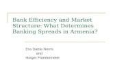Bank Efficiency and Market Structure: What Determines Banking Spreads in Armenia? Era Dabla Norris and Holger Floerkemeier.