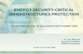 ENERGY SECURITY-CRITICAL INFRASTRUCTURES PROTECTION IN THE PERSPECTIVE OF BUCHAREST NATO SUMMIT 2008 Dr. Liviu Muresan Executive President EURISC Foundation.